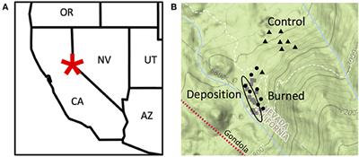 Post-wildfire Erosion in Mountainous Terrain Leads to Rapid and Major Redistribution of Soil Organic Carbon